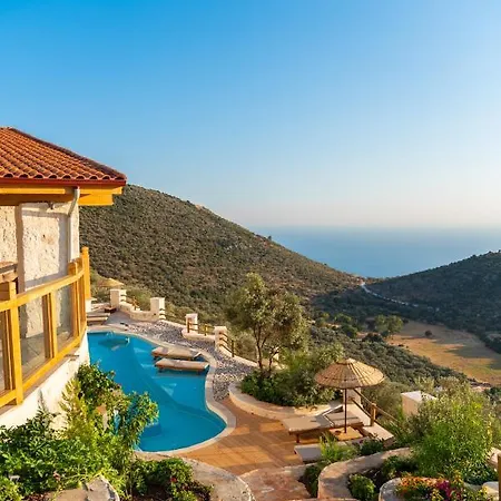 Kalos فيلة